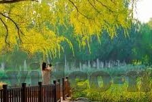 国产视频麻豆-国产视频麻豆，文化传承与现代创新的交融之地