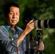 欧美一区,二区,三区-欧美一区、二区、三区的文化与艺术交融